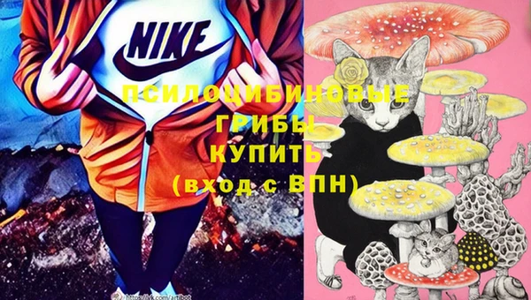героин Новозыбков