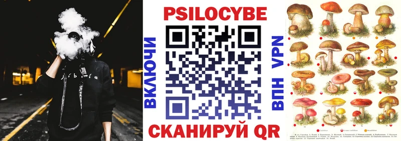 кракен сайт Малмыж Галлюциногенные грибы Psilocybe
